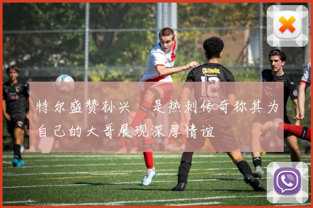 特尔盛赞孙兴慜是热刺传奇称其为自己的大哥展现深厚情谊