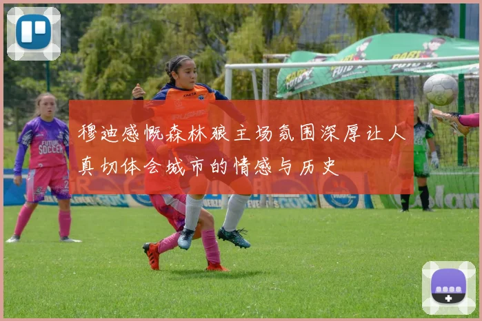 穆迪感慨森林狼主场氛围深厚让人真切体会城市的情感与历史