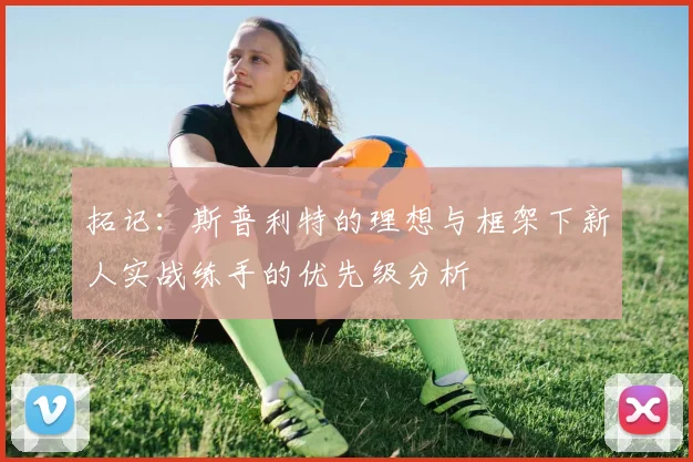 拓记：斯普利特的理想与框架下新人实战练手的优先级分析