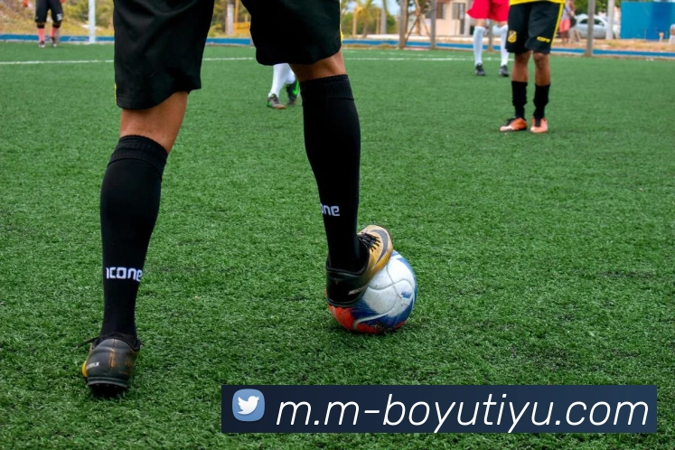 博鱼体育APP 封面图